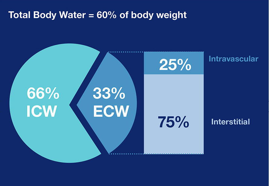 Toplam Vücut Suyu grafiği